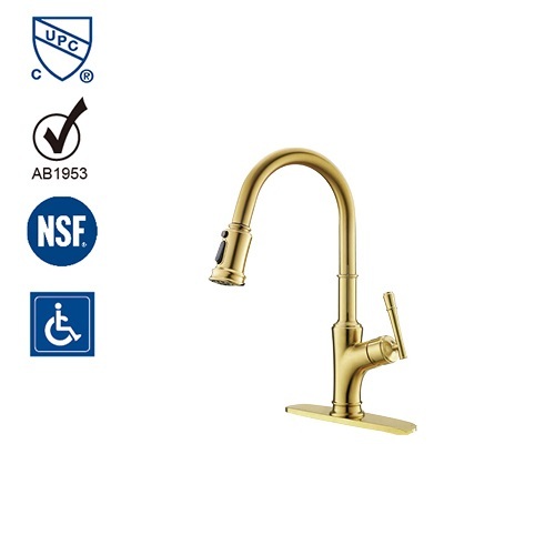 Excellent Quality Pull Out Kitchen Sink Faucet