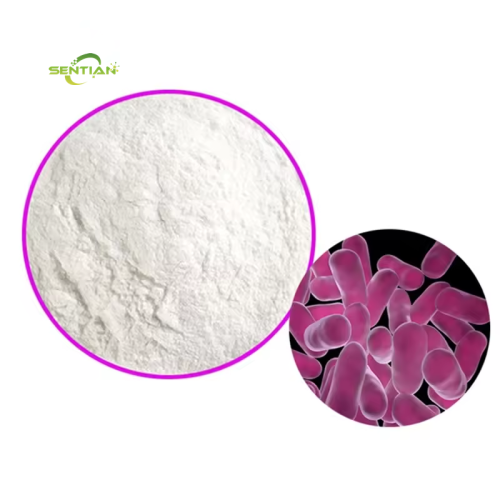 Probiotics Powder of Lactobacillus Acidophilus