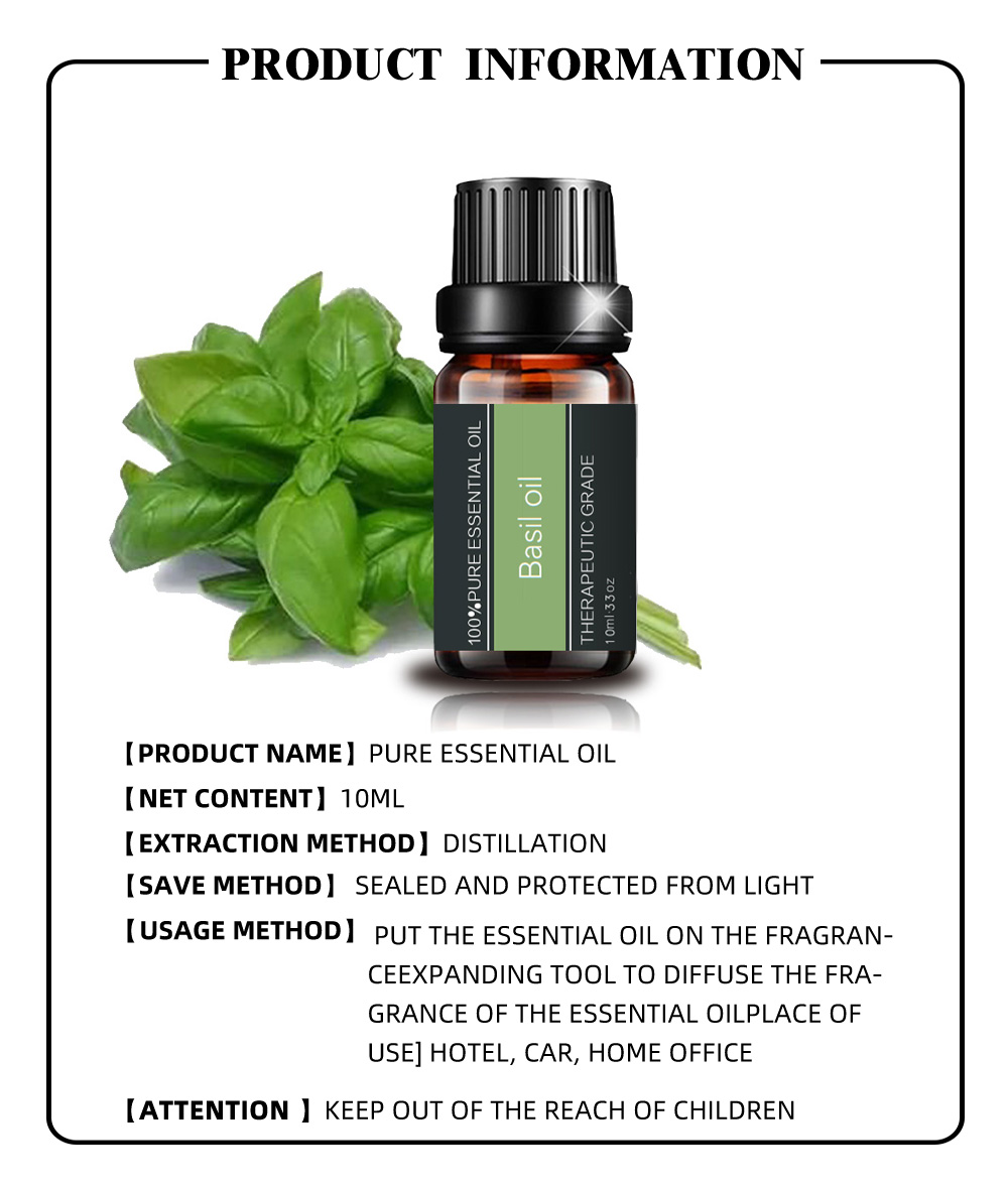 Good Quality Best Selling Bulk 100% Pure Basil Essential Oil