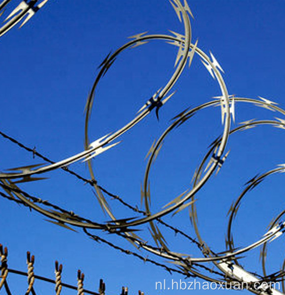 Heet gedompeld gegalvaniseerd dwars scheermeerhuthoed met draadafschermen