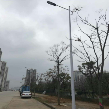 Customized 100W LED Street Light With Poles