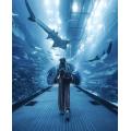 Transparant paneel heldere luxe acryl -aquariumtunnel