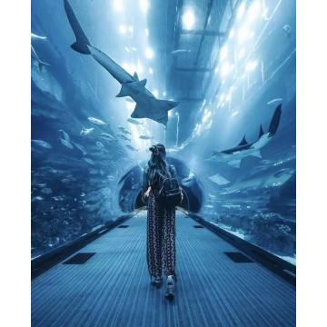 Panneau transparent Clear de luxe en acrylique Aquarium Tunnel