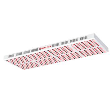 US Hot Sale High Quality Red Light Therapy