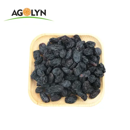 Hot Sell Chinese Purple Raisins Fruit Dry