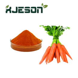 Food ingredients dried carrot powder