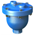 Air Release Valve DN25