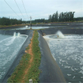 LDPE กุ้งฟาร์มฟาร์มไลเนอร์ Smooth HDPE Geomembrane