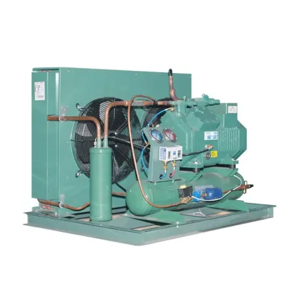 High Performance Two-Stage Bitzer Compressor Air-Cooled Condensing Unit for Cold Room Storage
