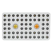 Cree COB LED Grow Light with Optical Lens