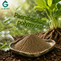 Paenibacillus Polymyxa مكونات الأسمدة الحيوية الميكروبية