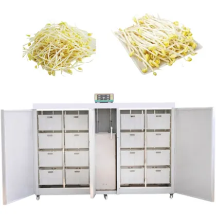 Automatic Bean Sprout Machine: Most Practical Bean Sprouter Sprout Machine