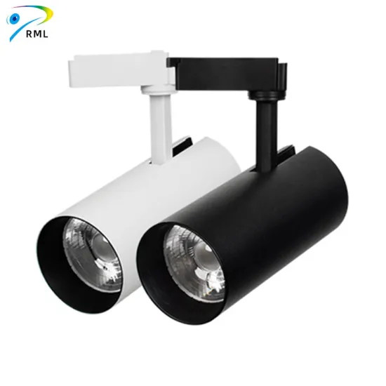 Aluminum LED Track Light: 20W/30W Focus Dimmable 2-Wire/3-Wire COB Spotlight for Museum & Retail