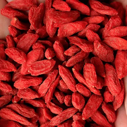 Dried Fruit Goji berry Bulk goji berry