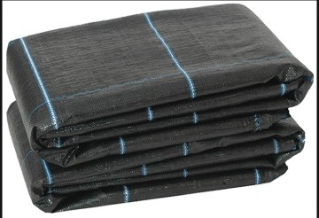 Ground Cover Made in China with Good Quality and Better Price