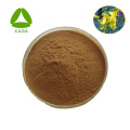 St John's wort Extract Powder Hypericin 0.3% 548-04-9