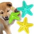Interactive Dog Chew Toy for Healthy Teeth