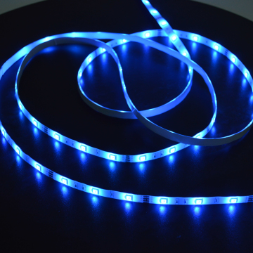 Rope Light Strip with Mini IR Remote Controller - LED Strip Kit SMD5050, 30 LEDs/m, DC 12V, OEM