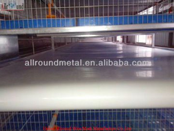 chicken manure removing belt equipment  