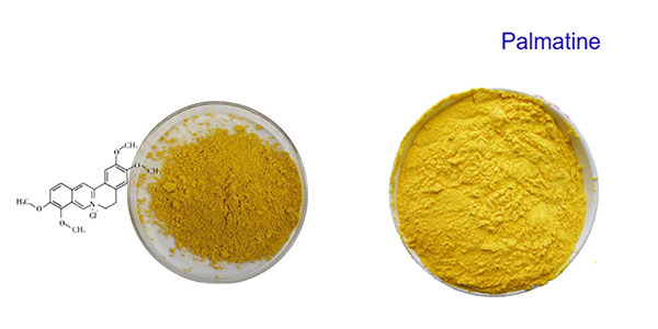 Healthcare Supplement Palmatine