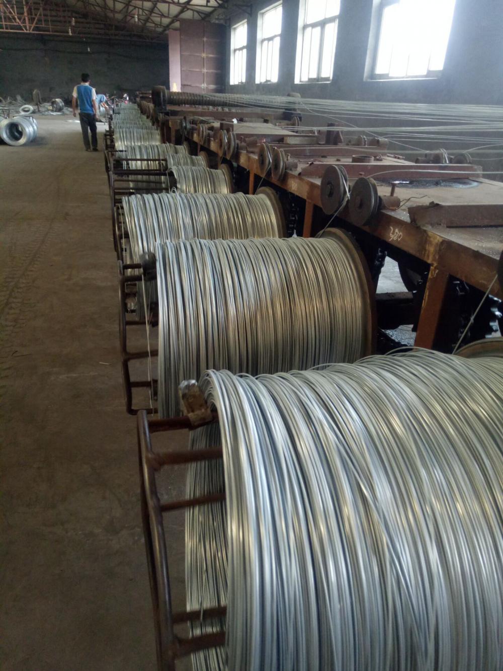 Galvanized Wire for Building