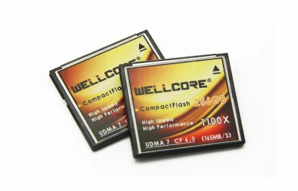 256gb Compactflash Memory Card , Dvrs / Digital Slr Camera Memory Card