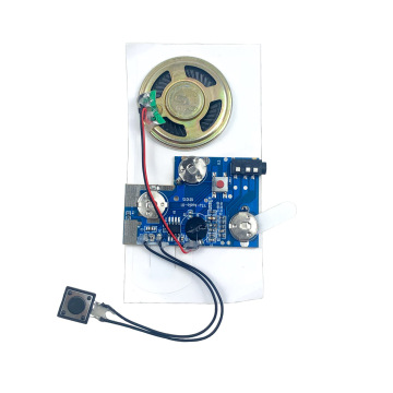 Customized Sound Module for Toys and Speakers