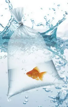 Plastic Clear Flat bags For Kitchen