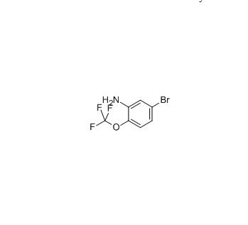 벤젠 유래 물 3-아미노-4-(trifluoromethoxy) bromobenzene 98 %886762-08-9