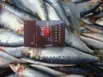 Best Frozen Fish Whole Part Sardine For Canning