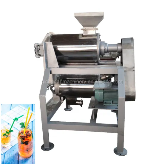 Double Channel Fruit Juice Beater: Strawberry Paste Pulper & Mango Beating Machine