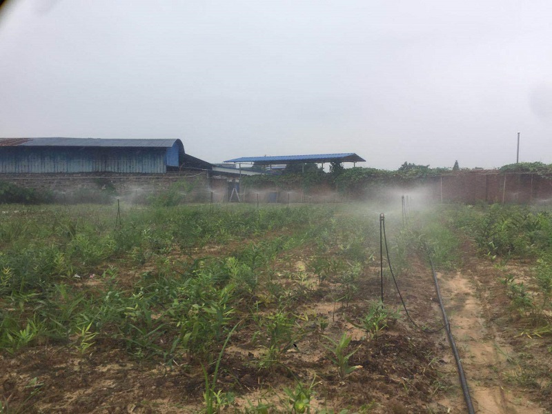 Chongqing Qingcheng Agriculture's Hechuan Drip Irrigation Project Passes Acceptance Inspection, Client Praises Service Quality!