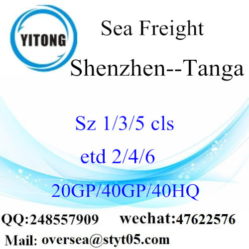 Shenzhen Port Sea Freight Frakt till Tanga