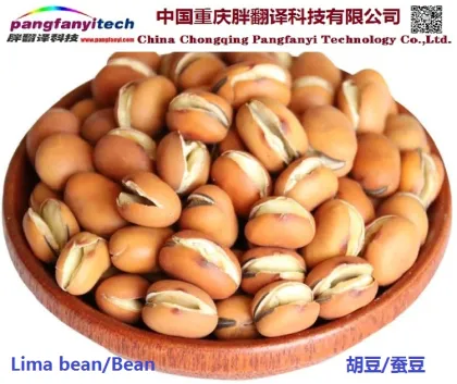 Natural Nutritional Tasty Self-planted Dried Lima Bean