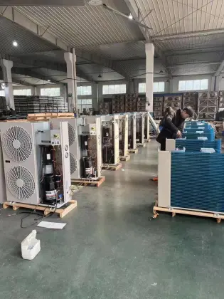 Open Type Cold Room Copeland Refrigeration Unit for Cold Storage