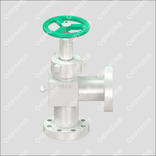 Needle Shaped Choke Valve