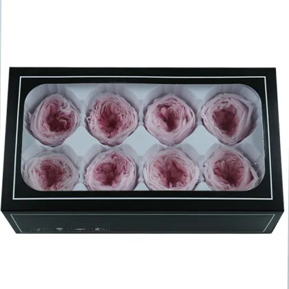 4-5 cm Real Touch Dried David Austin Eternelle Roses for Christmas and Valentine's Day Decoration