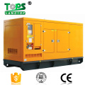 Home Using Diesel Generator Price with Tralier