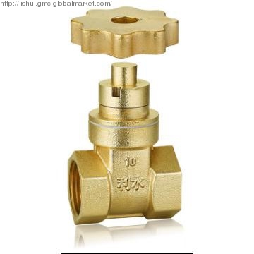 Magnetic Lockable Gate Valve