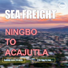 شحن البحر الدولي من نينغبو إلى أكاجوتلا سلفادور