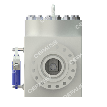 Swing check valve