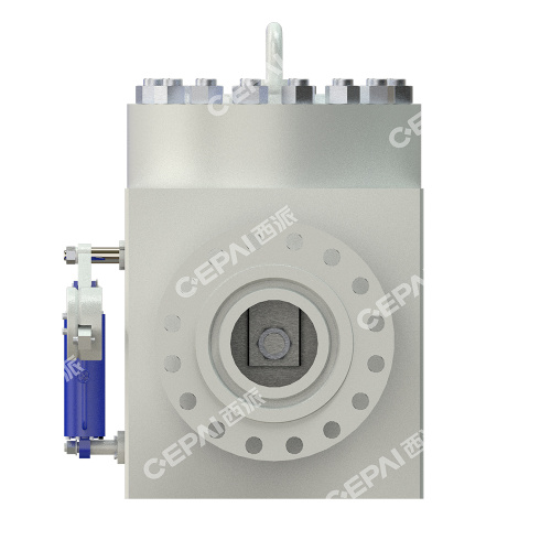 Swing Check Valve