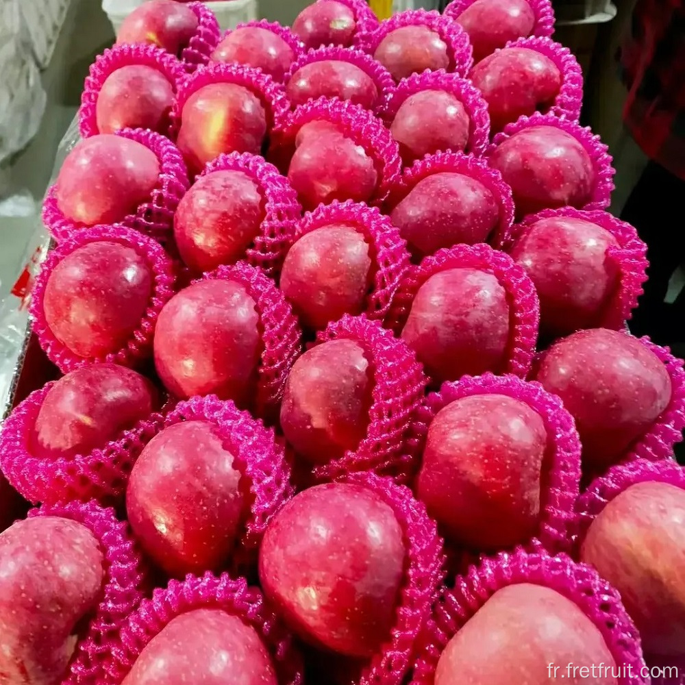 Pommes fraîches de haute qualité