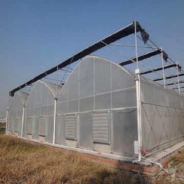 Large Multi-Span Plastic Film Vegetables Greenhouse