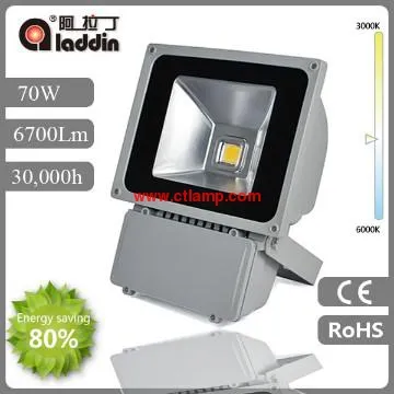 Warm white Cool white 70W led flood lamp