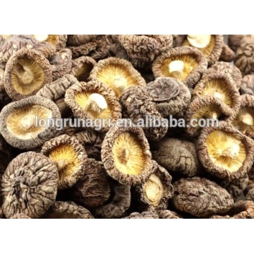 Hot Selling China Cheap Price Dried Shiitake Mushroom