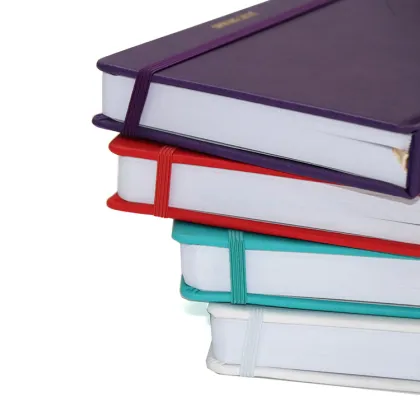 Diary Budget Planner Leather Agenda