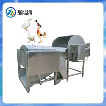 Complete Automatic Chicken Slaughter Machine for Poultry Slaughterline