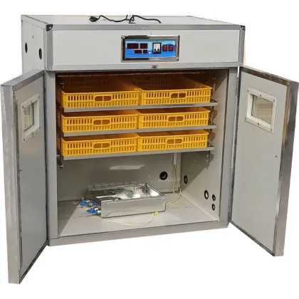 Chicken Egg Hatcher and Incubator for Sale
