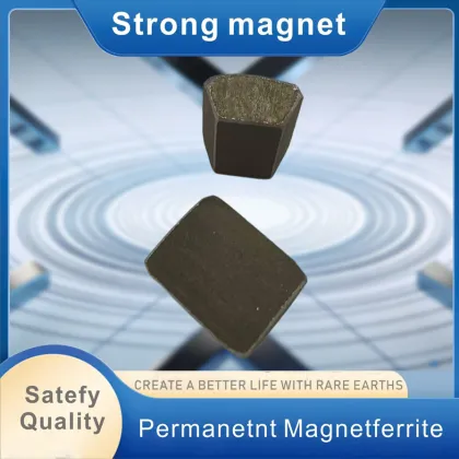 Black Rare Earth Cobalt Magnet for High Performance